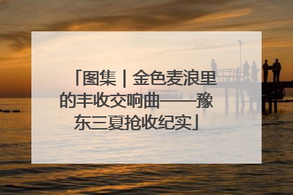 图集｜金色麦浪里的丰收交响曲——豫东三夏抢收纪实