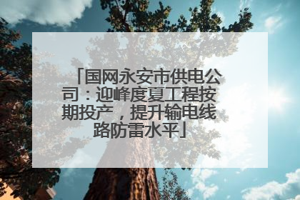 国网永安市供电公司：迎峰度夏工程按期投产，提升输电线路防雷水平