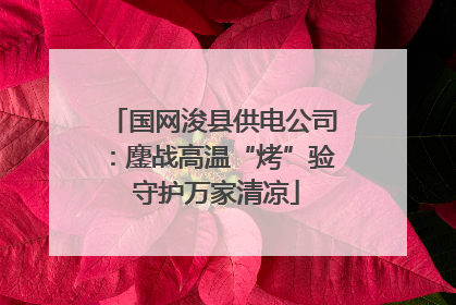 国网浚县供电公司：鏖战高温“烤”验 守护万家清凉