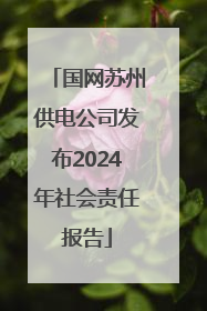 国网苏州供电公司发布2024年社会责任报告