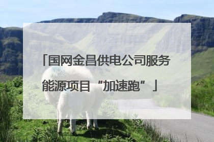 国网金昌供电公司服务能源项目“加速跑”