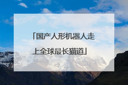 国产人形机器人走上全球最长猫道