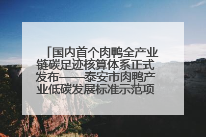 国内首个肉鸭全产业链碳足迹核算体系正式发布——泰安市肉鸭产业低碳发展标准示范项目顺利通过验收