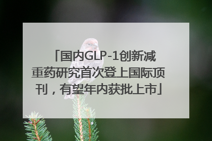 国内GLP-1创新减重药研究首次登上国际顶刊，有望年内获批上市