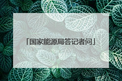 国家能源局答记者问