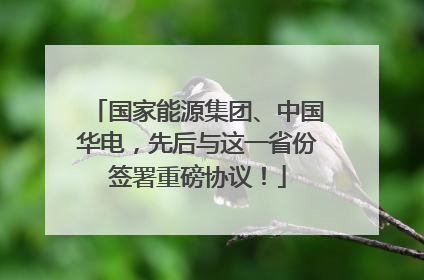 国家能源集团、中国华电，先后与这一省份签署重磅协议！