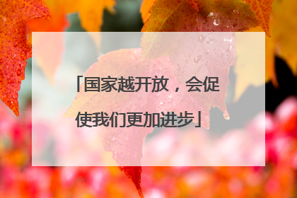国家越开放，会促使我们更加进步