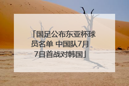 国足公布东亚杯球员名单 中国队7月7日首战对韩国