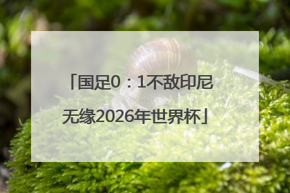 国足0：1不敌印尼 无缘2026年世界杯