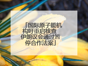 国际原子能机构吁重启核查 伊朗议会通过暂停合作法案