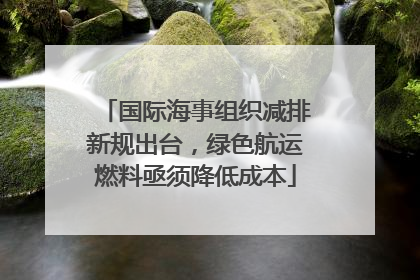 国际海事组织减排新规出台，绿色航运燃料亟须降低成本
