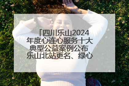 四川乐山2024年度心连心服务十大典型公益案例公布 乐山北站更名、绿心路井盖治理等上榜