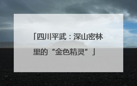 四川平武：深山密林里的“金色精灵”