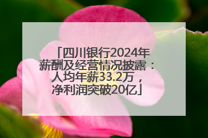 四川银行2024年薪酬及经营情况披露：人均年薪33.2万，净利润突破20亿