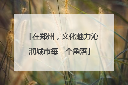 在郑州，文化魅力沁润城市每一个角落