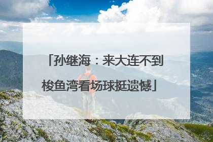 孙继海：来大连不到梭鱼湾看场球挺遗憾