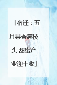 宿迁：五月果香满枝头 甜蜜产业迎丰收