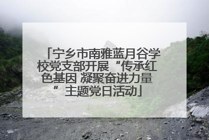 宁乡市南雅蓝月谷学校党支部开展“传承红色基因 凝聚奋进力量”主题党日活动