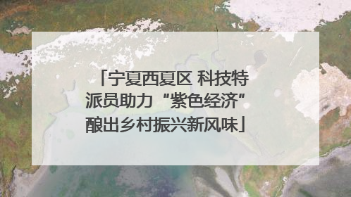 宁夏西夏区 科技特派员助力“紫色经济”酿出乡村振兴新风味