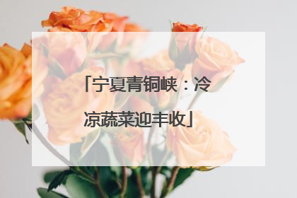 宁夏青铜峡：冷凉蔬菜迎丰收