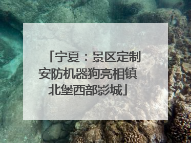 宁夏：景区定制安防机器狗亮相镇北堡西部影城