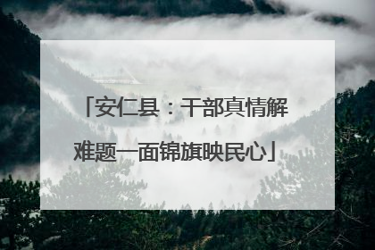 安仁县：干部真情解难题一面锦旗映民心
