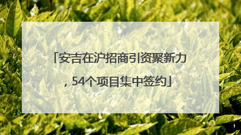 安吉在沪招商引资聚新力，54个项目集中签约
