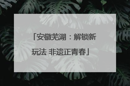 安徽芜湖：解锁新玩法 非遗正青春