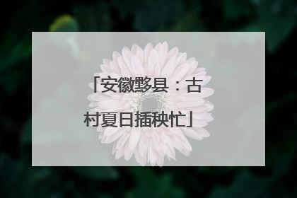 安徽黟县：古村夏日插秧忙