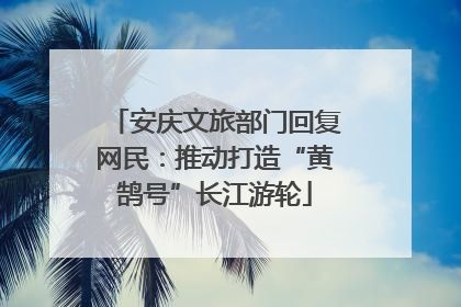 安庆文旅部门回复网民：推动打造“黄鹄号”长江游轮