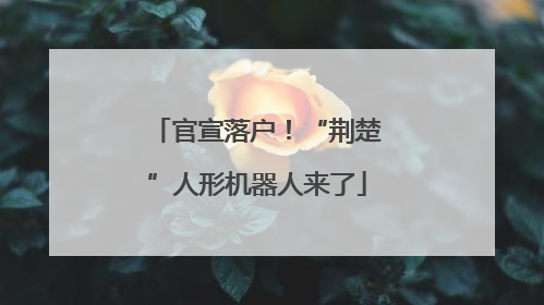 官宣落户！“荆楚”人形机器人来了