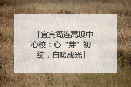 宜宾筠连蒿坝中心校：心“芽”初绽，自暖成光
