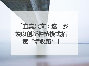 宜宾兴文：这一乡镇以创新种植模式拓宽“增收路”