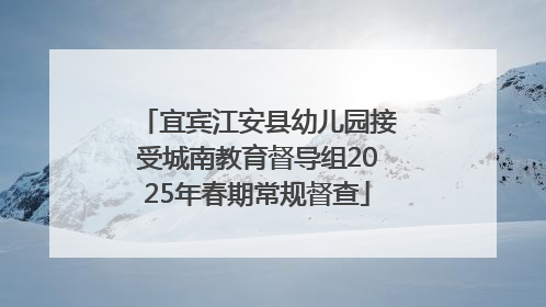 宜宾江安县幼儿园接受城南教育督导组2025年春期常规督查