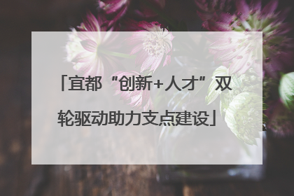 宜都“创新+人才”双轮驱动助力支点建设