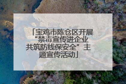 宝鸡市陈仓区开展“禁毒宣传进企业 共筑防线保安全”主题宣传活动
