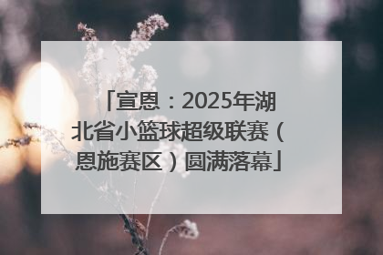 宣恩：2025年湖北省小篮球超级联赛（恩施赛区）圆满落幕