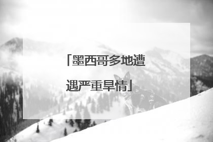 墨西哥多地遭遇严重旱情