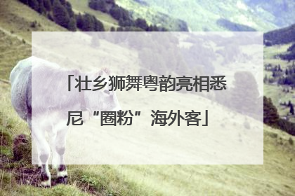 壮乡狮舞粤韵亮相悉尼“圈粉”海外客