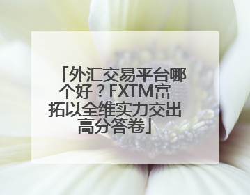 外汇交易平台哪个好？FXTM富拓以全维实力交出高分答卷