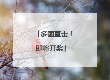 多图直击！即将开桨