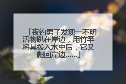 夜钓男子发现一不明活物趴在岸边，用竹竿将其拨入水中后，它又爬回岸边……
