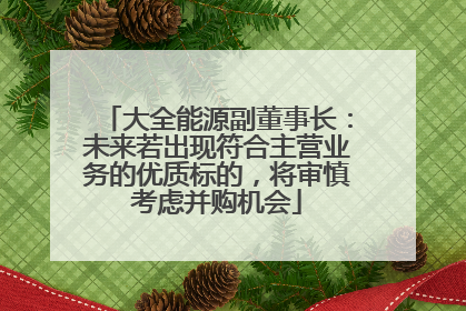大全能源副董事长：未来若出现符合主营业务的优质标的，将审慎考虑并购机会