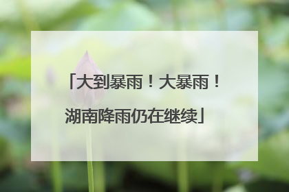 大到暴雨！大暴雨！湖南降雨仍在继续