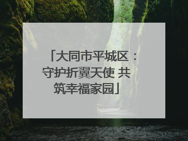 大同市平城区：守护折翼天使 共筑幸福家园