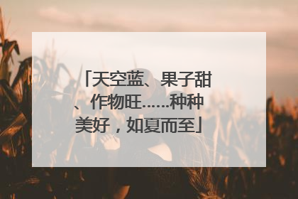 天空蓝、果子甜、作物旺……种种美好，如夏而至