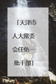 天津市人大常委会任免一批干部