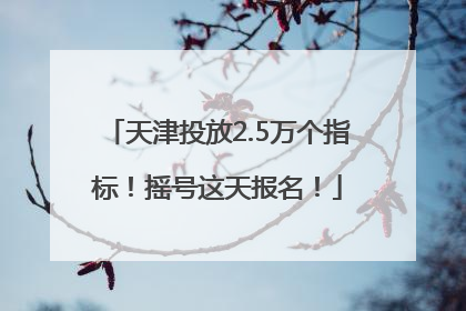 天津投放2.5万个指标！摇号这天报名！