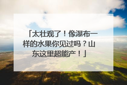 太壮观了！像瀑布一样的水果你见过吗？山东这里超能产！