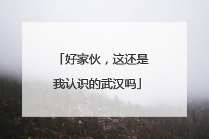 好家伙，这还是我认识的武汉吗